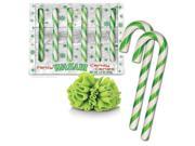 Wasabi Flavored Candy Canes Box Of 6