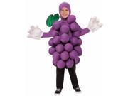 Forum Girls Purple Grapes Halloween Costume One Size