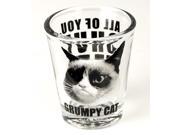 Grumpy Cat Shut Up Shot Glass