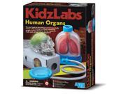 4M Kidz Labs Science Learning Kit Human Organs