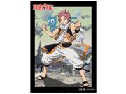 Wall Scroll Fairy Tail New Natsu Happy Ready Fabric Art Licensed ge60652