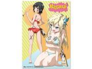Wall Scroll Haganai Bikini Fabric Poster New Anime Licensed ge60106
