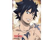 Wall Scroll Fairy Tail New Gray Portrait Anime Art Licensed ge60238