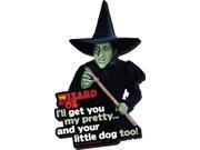 Magnet Wizard of Oz Witch New Gifts Toys Licensed 95223