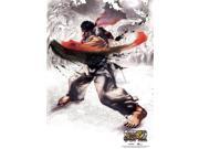 Wall Scroll Street Fighter IV 4 New Ryu Fabric Art Licensed ge5885