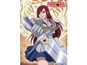 Wall Scroll Fairy Tail New Erza with a Sword Fabric Poster ge60085