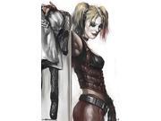 Poster DC Comics Harley Quinn New Wall Art 22 x34 rp13511