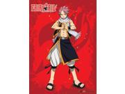 Wall Scroll Fairy Tail New Natsu Pose Wall Art Anime Toys Licensed ge60546