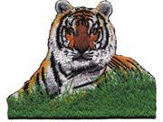 Patch Animals Tiger in Grass Iron On Gifts New Licensed p 3960