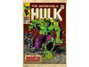 Poster Decal Marvel Hulk 24x36 Repositionable Sticker New dc7269