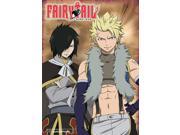 Wall Scroll Fairy Tail New Rouge Sting Anime Fabric Art ge60639