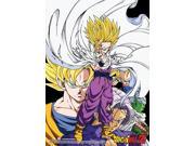 Fabric Poster Dragon Ball Z Ghoan Group Wall Art Licensed ge79407