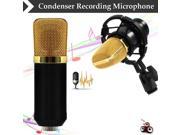 Condenser Sound Recording Microphone with Shock Mount for Radio Braodcasting
