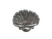 Pentair 5824306 WallSpring Shell Handhold Decorative Accent Silver