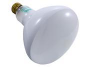 Halco R40FL300 12V 300W Flood Lamp Replacement Bulb