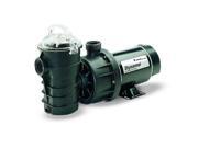 Pentair 340204 Stainless Steel 115V 1 HP Black Dynamo Two Speed Pool Pump