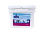 Natural Chemistry 07415 Foundation with 16 1 2 Pound Container