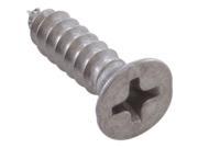 Pentair 552537 Stainless Steel Screw for Square Drain