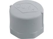 Lasco 448 010 1 FPT Pool Spa Cap