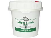 Jack s Magic JMCOPPER10 No.2 Copper Scale Stuff Stain Cleaner Solution