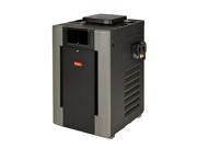 Raypak 010201 406000 BTU Digital ASME Cupro Nickel Natural Gas IID Heater