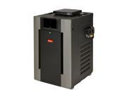 Raypak 010200 Digital ASME 332500 BTU Natural Gas Heater Cupro Nickel