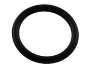 Pentair 192115 O Ring Drain Plug for Pool or Spa Filter and Pump