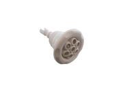 Waterway 229 8030 Poly Storm Threaded Jet Internal Massage White