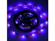 5M 300 LEDs SMD 3528 Flexible Colorful Strip Light with Remote Control