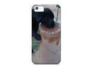Premium Iphone 5c Cases Protective Skin High Quality For Checking Out The Birdbath