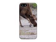 Iphone 5 5s Lfw24996rhmZ Moose Takes A Drink Cases Covers. Fits Iphone 5 5s