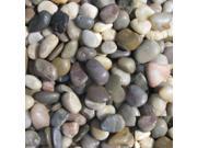 Sample of Mixed Beach Pebbles 2 3 cm Random Polished