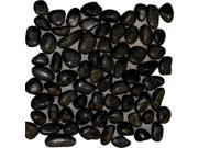 Sample of Black Pebbles 12X12 Polished