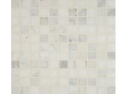 Sample of Arabescato Carrara 1x1 Honed