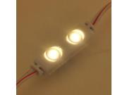 16.4 Feet String of 50 Water Resistant Mini LED Modules Each with 2xSMD3528 12 Volt Warm White