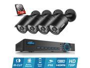 Annke 8 Channel Video Security System 720P HD DVR and 4 720P 1.0 Megapixel Indoor Outdoor Fixed CCTV Cameras with IR Night Vision LEDs One 1TB HDD Included