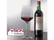Fusion Infinity Cabernet Merlot Bordeaux Wine Glasses Set of 4