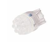 KIC Wiring 12594 Super Bright White T20 Led 12v Wedge Bulb