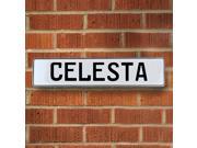 Vintage parts USA VPAY126FD Celesta White Stamped Aluminum Street Sign Mancave Wall Art Vintage parts USA VPAY126FD Celesta White Stamped Aluminum Street Sign Mancave Wall Art