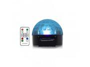 LED Light Globe with Remote Control
