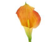 Large Coral Calla Lily