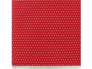 CCW5 28 White Dots on Red Fabric