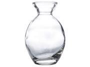 160mL Glass Vase