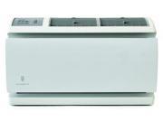White Wall Air Conditioner WS12D30 Friedrich
