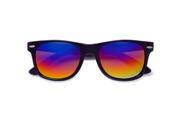Retro Matte Black Horn Rimmed Colorful Rainbow Revo Wayfarer Sunglasses