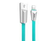 Hoco 4ft Lightning Connector to USB Cable Compatible with the Newest iOS 9 and Beyond Charge and Sync Cable Blue