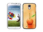 MOONCASE Hard Protective Printing Back Plate Case Cover for Samsung Galaxy S4 I9500 No.3003530