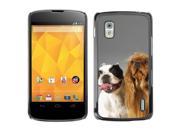 MOONCASE Hard Protective Printing Back Plate Case Cover for LG Google Nexus 4 No.0003145