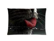 Cat Pillowcases Custom Pillow Case Cushion Cover 20 X 36 Inch Two Sides