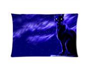 The Black Cat At Night Pillowcases Custom Pillow Case Cushion Cover 20 X 30 Inch Two Sides